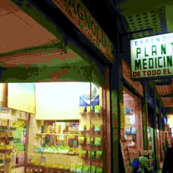 Plantas medicinales de América - Medicinas sin químicos