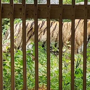 Henry Vilas Park Zoo - Zoos Near Me - Madison, Wisconsin Henry Vilas Park Zoo - Zoos Near Me - Madison, Wisconsin