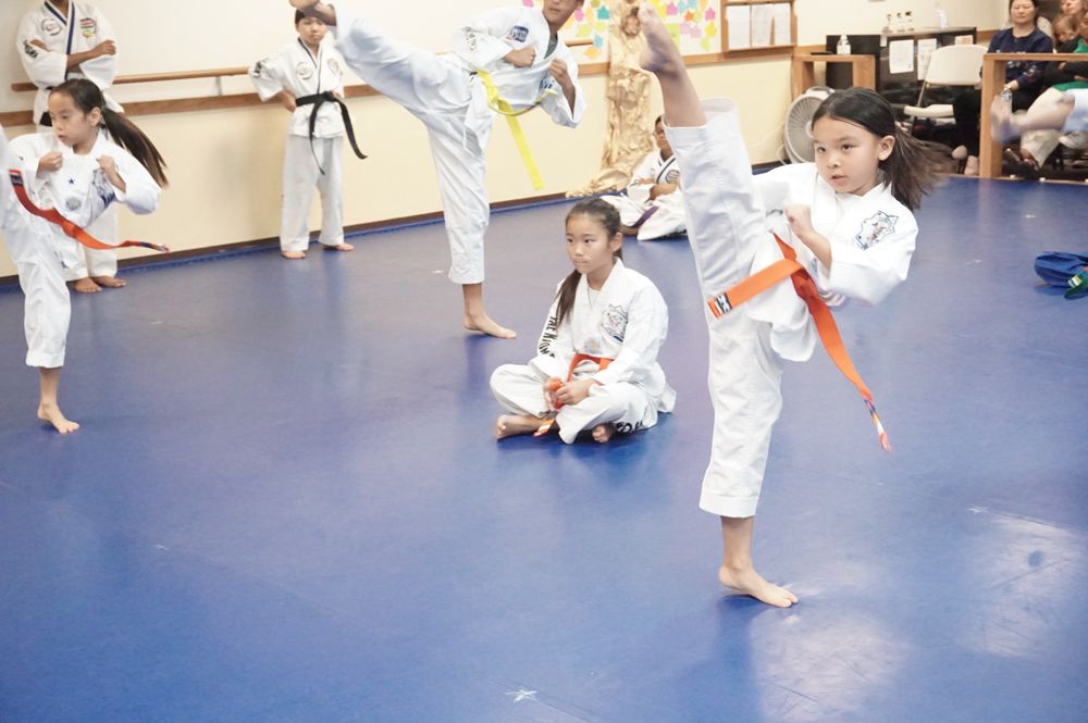 UTO Taekwondo Martial arts Logo