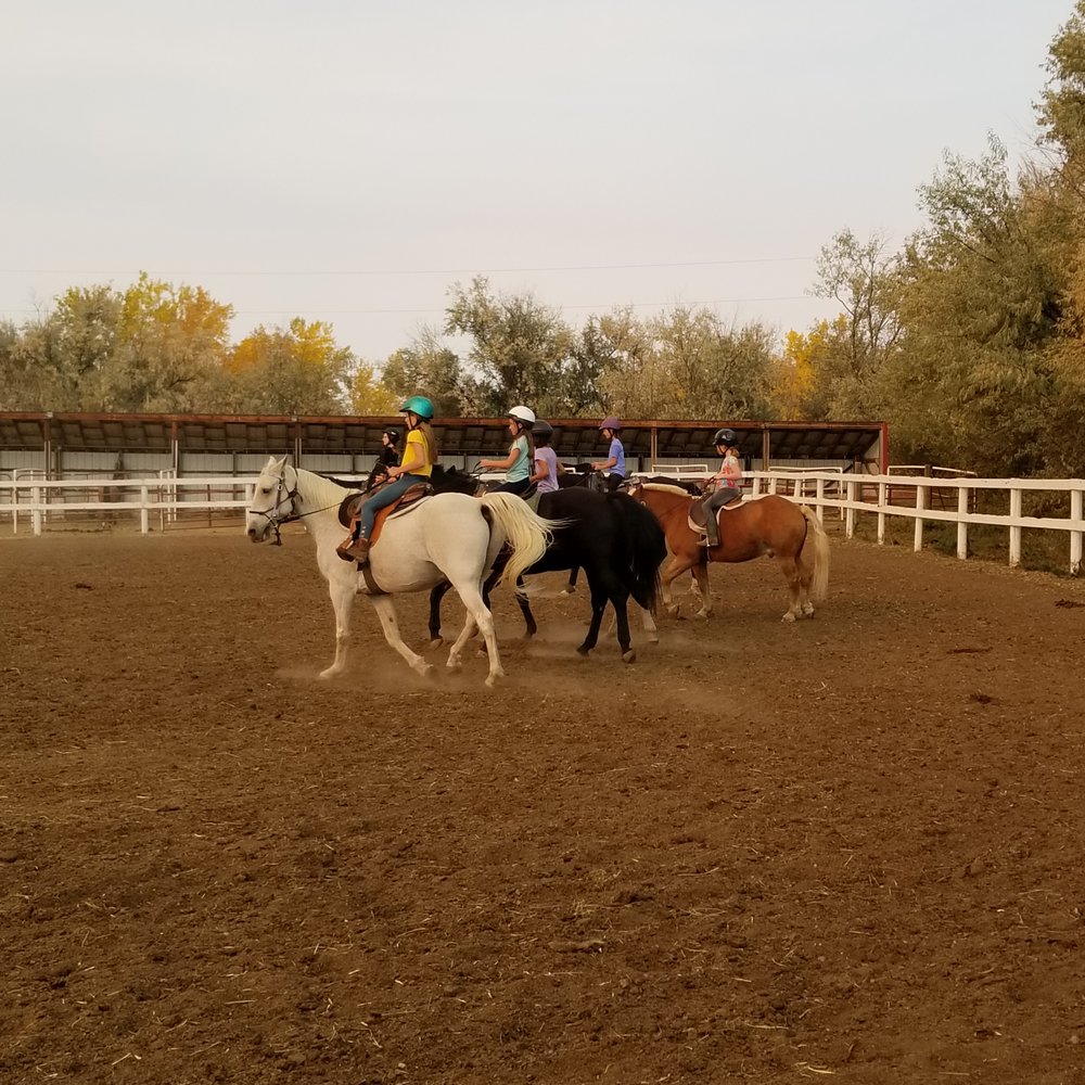 COMPLETE EQUESTRIAN Updated October 2024 1750 E Douglas Rd, Fort