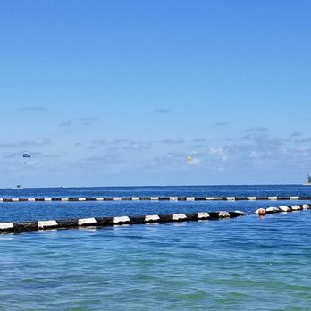 Lagerheads - safe swimming area - Bars Near Me - Key West, Florida Lagerheads - safe swimming area - Bars Near Me - Key West, Florida