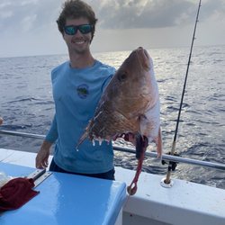 Sea Trek Deep Sea Fishing - Was a nice size mangrove