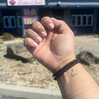 Lotus Nails - Eyelash Service Near Me - San Jose, California Lotus Nails - Eyelash Service Near Me - San Jose, California