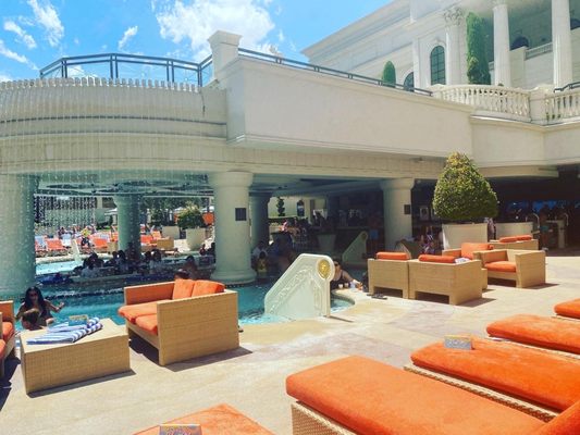 Venus Pool + Lounge by null