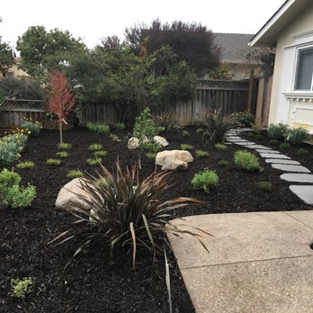 Total Landscape - The finished result. The "before" was patches of weeds and dead grass. - Landscaping Near Me Total Landscape - The finished result. The "before" was patches of weeds and dead grass. - Landscaping Near Me