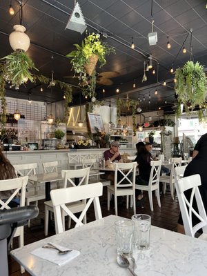 Araya's Place Vegan Thai Bellevue by null