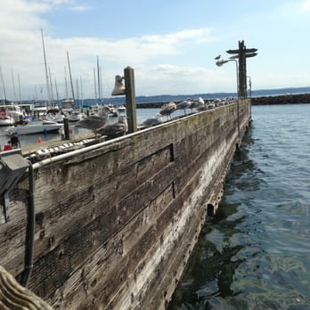 Des Moines Marina - Seagulls!~ - Marinas Near Me - Des Moines, Washington