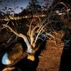 Cemetery Memorial Park gift card