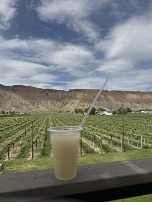 Carboy Winery at Mt. Garfield Estate by null