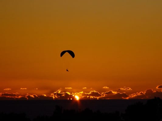 Advanced Pain Management