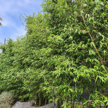 Moon Valley Nurseries - Landscaping Near Me - Torrance, California