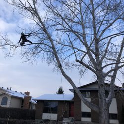 Chinook Arbor Services - Another day at the office!