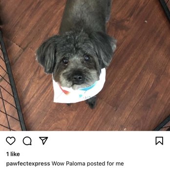 Pawfect Express Pet Spa - Doggy - Pet Groomers Near Me - Montebello, California