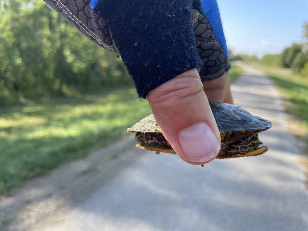 Social spots from Katy Trail