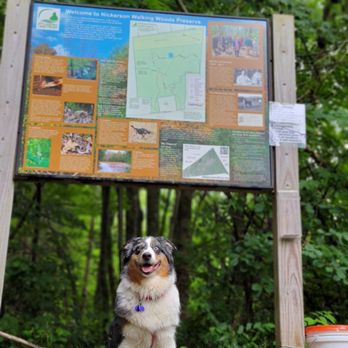 Dog Treks - Dog Walkers Near Me - Attleboro, Massachusetts Dog Treks - Dog Walkers Near Me - Attleboro, Massachusetts