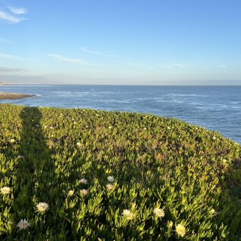 West Cliff Drive - Beaches Near Me - Santa Cruz, California West Cliff Drive - Beaches Near Me - Santa Cruz, California