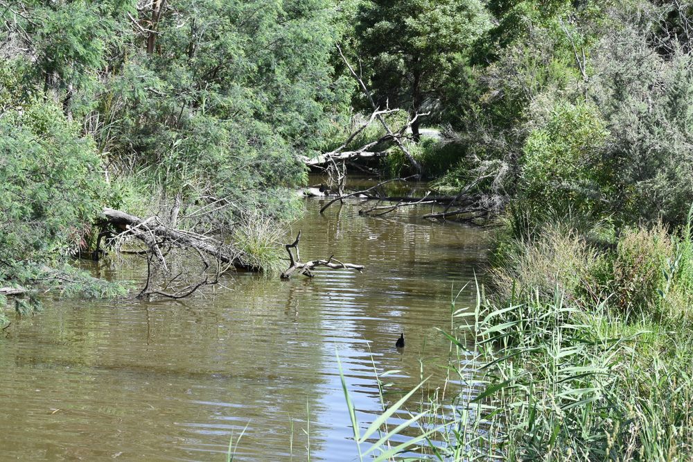 LILYDALE LAKE Lot 7 Melba Ave, Lilydale Victoria, Australia Lakes Yelp