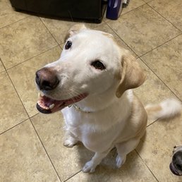 Archer is looking so fresh and soft. He smells great!!! Archer is looking so fresh and soft. He smells great!!!