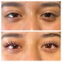 Photo of Lash Evolve