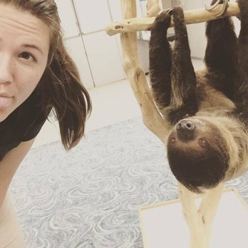 Downtown Aquarium - The sloth was soooo cute and slow! - Museums Near Me - Denver, Colorado