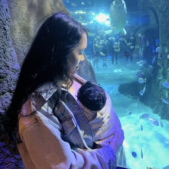 Sea Life - Aquariums Near Me - Orlando, Florida Sea Life - Aquariums Near Me - Orlando, Florida