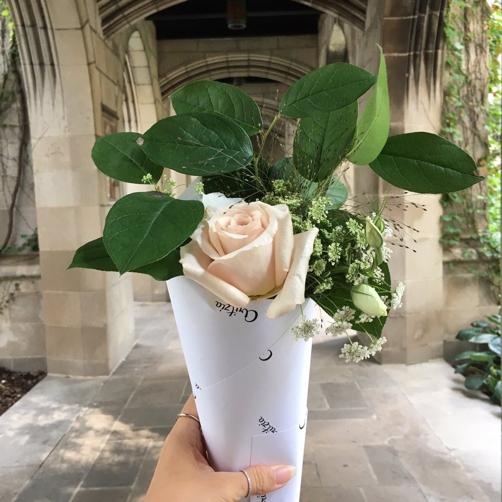Aritzia - Women's Clothing Near Me - Chicago, Illinois