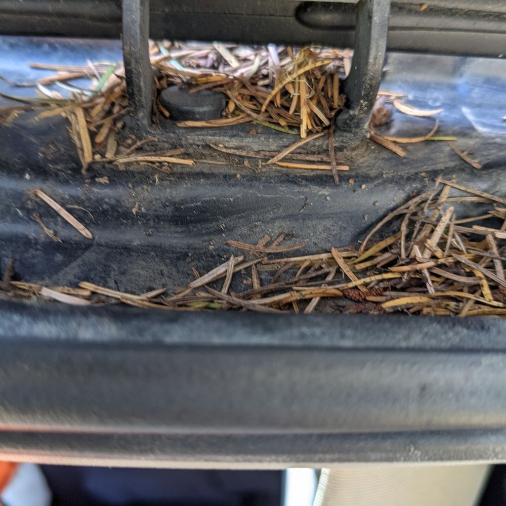 A & A Elegance Auto Detailing - Hatchback gutter still full of pine needles after detailing - Auto Detailing Near Me - Warrenton, Oregon