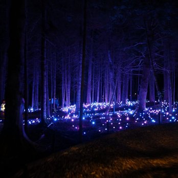 Akadi Lumina - Walking Tours Near Me - Bouctouche, New Brunswick