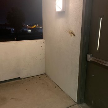 Alight Tempe - Poop smeared on the wall - University Housing Near Me - Tempe, Arizona Alight Tempe - Poop smeared on the wall - University Housing Near Me - Tempe, Arizona