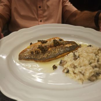 Arca - Bronzinno - Italian Near Me - Lincoln Park, New Jersey Arca - Bronzinno - Italian Near Me - Lincoln Park, New Jersey
