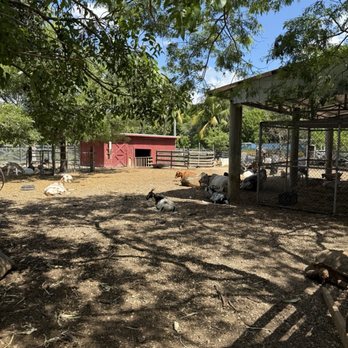 Robert Is Here - Farm - Fruits & Veggies Near Me - Homestead, Florida Robert Is Here - Farm - Fruits & Veggies Near Me - Homestead, Florida