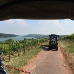 Weingut Andrea Mann - Weinbergsrundfahrt