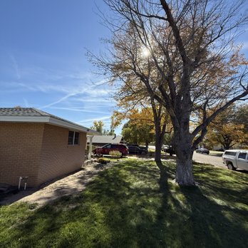 B&S Lawn and Tree - Maple tree removal photo 1 - Tree Services Near Me - Guymon, Oklahoma