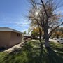 Photo of B&S Lawn and Tree