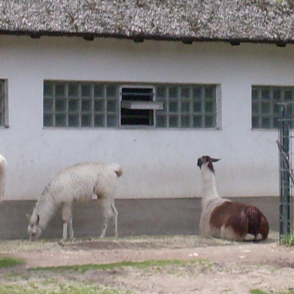 ZOO BERLIN - Zoos Near Me - Berlin, BE ZOO BERLIN - Zoos Near Me - Berlin, BE