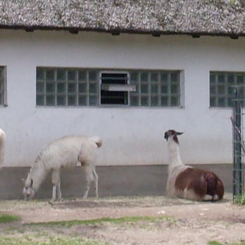 ZOO BERLIN - Zoos Near Me - Berlin, BE