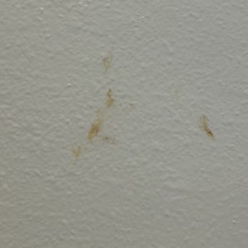 LA Fitness - BLOODY WALL!! - Gyms Near Me - Brooklyn Park, Minnesota