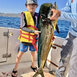 Blue Sky Cabo - Epic Mahi Mahi.