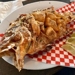 El Turrumote - El Capitan (fish of the day)