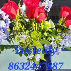 A&Y Cleaning Services