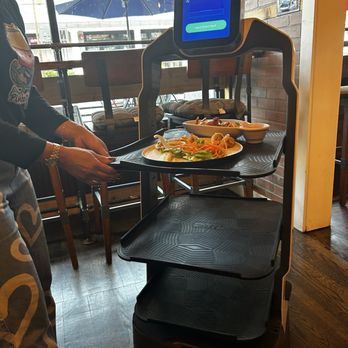 Pinto Thai Culpeper - Cool little robot bringing out our plates - Thai Near Me - Culpeper, Virginia