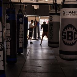 Shark Boxing Club - Eagle Rock