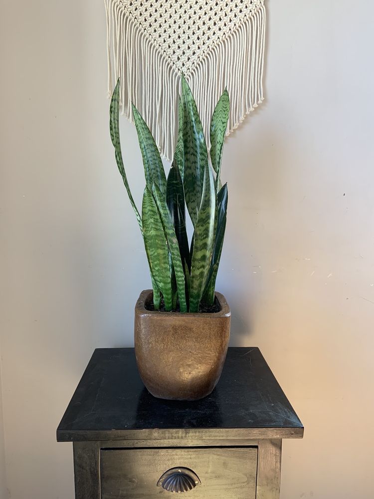 CARPINTERIA VALLEY LUMBER 50 Photos & 21 Reviews 915 Elm Ave