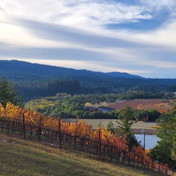 Thomas T Thomas Vineyards - a vineyard in autumn - Wine Tasting Room Near Me - Philo, California