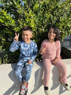 Birds Barbershop by null