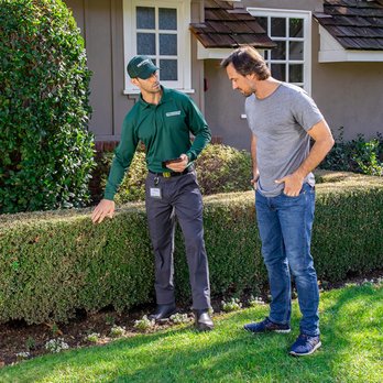 TruGreen Lawn Care - Tree Services Near Me - Jackson, Tennessee TruGreen Lawn Care - Tree Services Near Me - Jackson, Tennessee