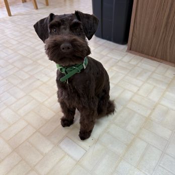 Muddy Buddy - Pet Groomers Near Me - Virginia Beach, Virginia Muddy Buddy - Pet Groomers Near Me - Virginia Beach, Virginia