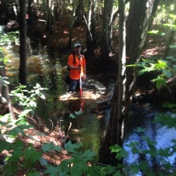 First Coast Land Surveying - Surveying in the swamps