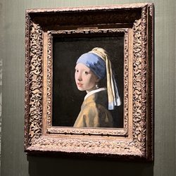Mauritshuis - Amazing to see in person and without massive crowds around her