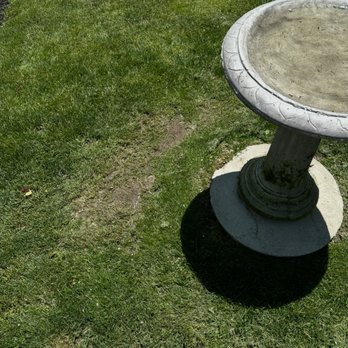 Uber Lawns & Landscape - Snow Removal Near Me Uber Lawns & Landscape - Snow Removal Near Me